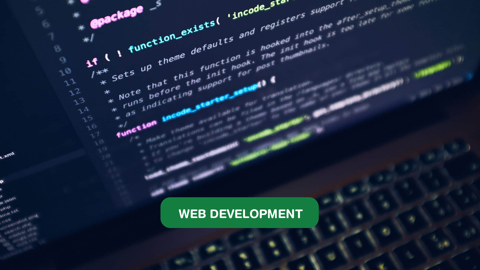 Web Development